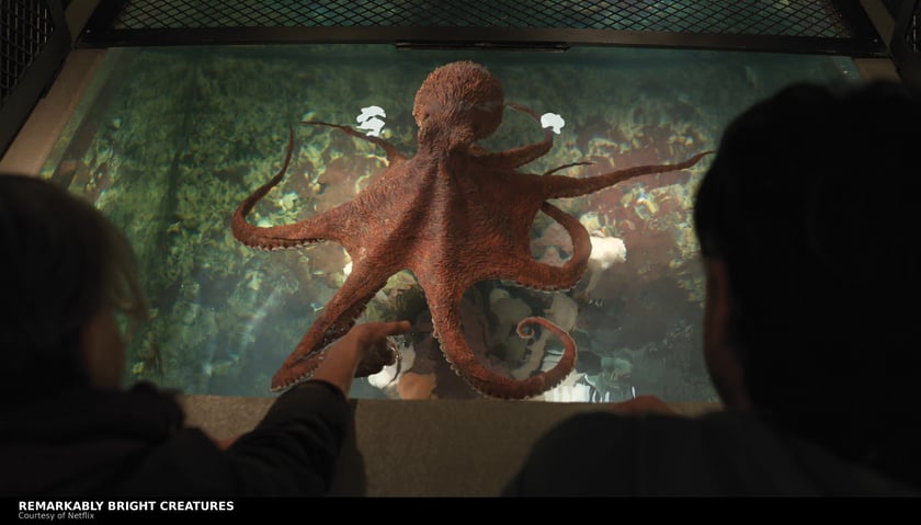 Marcellus the giant Pacific octopus spreads across the glass of his aquarium tank in Remarkably Bright Creatures, courtesy of Netflix
